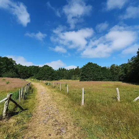 펜션 6 Person In Orsted-by Traum Ørsted