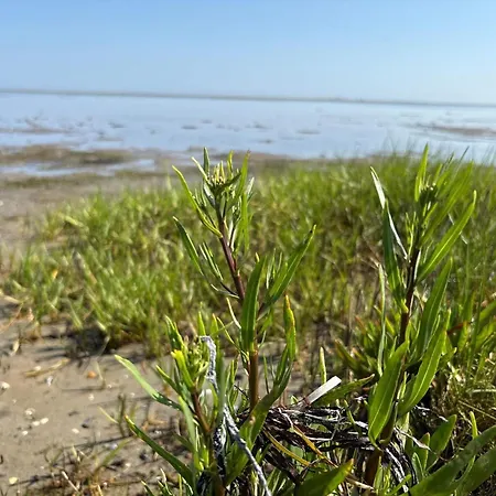 6 Person In Orsted-by Traum 펜션