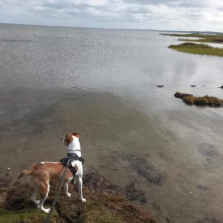 6 Person In Orsted-by Traum Ørsted