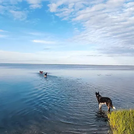 6 Person In Orsted-by Traum * Ørsted