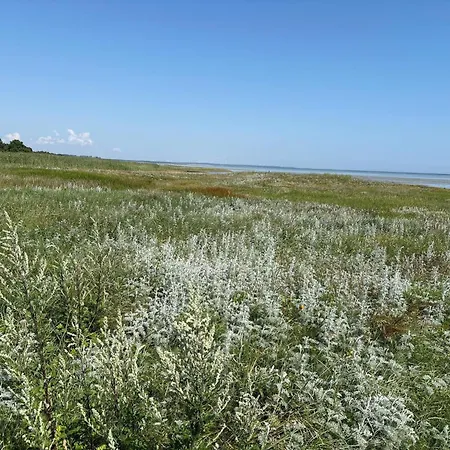 6 Person In Orsted-by Traum Vakantiehuis Ørsted