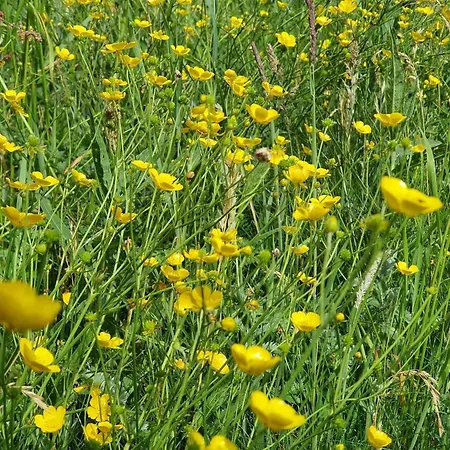 6 Person In Orsted-by Traum Vakantiehuis *