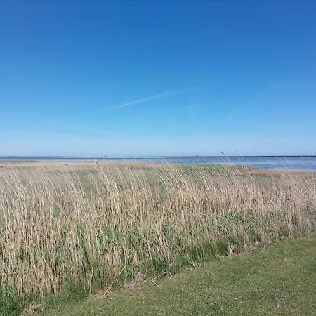 6 Person In Orsted-by Traum *